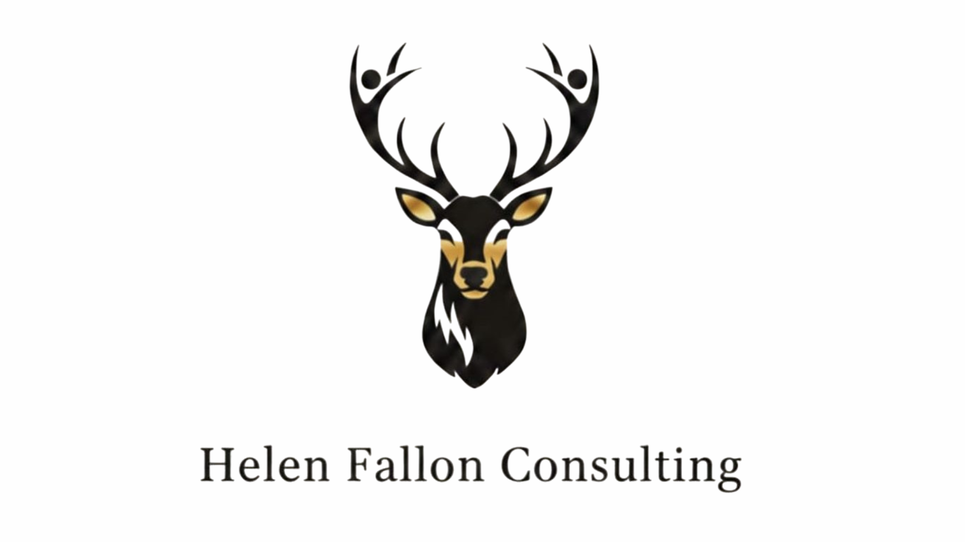 Helen Fallon Consulting 9 OBS2026 Logos
