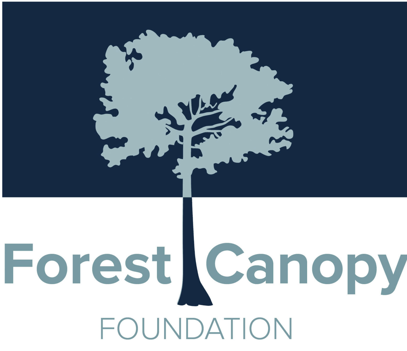 FCF Logo scaled 1 e1698923398866