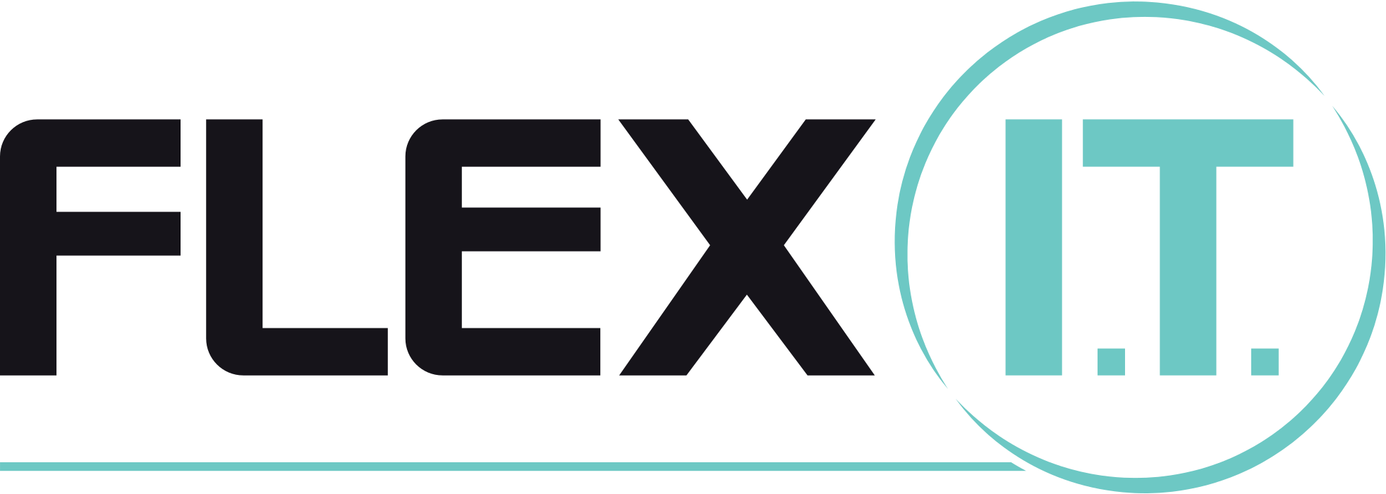 Flex Information Technology Ltd 1